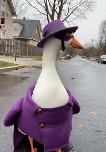 Darkwing Duck Comes to Life: A Disney Classic Reimagined