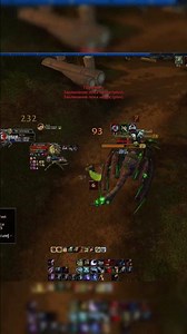 WPvP MM Hunter 74 lvl ММ Хант VS Feral Druid 75 lvl Wotlk 3 3 5 Sirus/Nozdor/Isengard/Circl