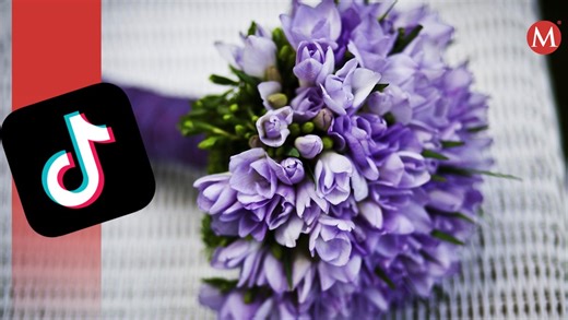 Flores Moradas: Qué significan y por qué se regalan el 9 de octubre