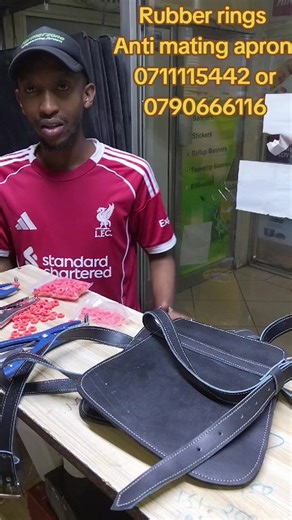 Castration and Tail Docking Tools for Farmers