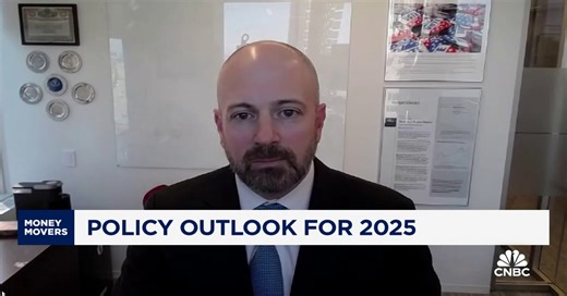 Morgan Stanley's Zezas: Tighter immigration regulation will slow GDP growth in '25 and '26