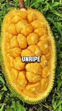 Cut Open This Giant Fruit and You’ll See Something Wild #TropicalOddities #FruitUncovered