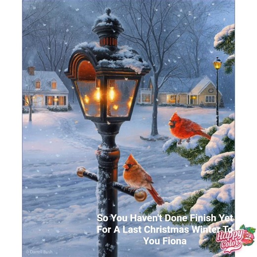 Happy Color - So You Haven't Done Finish Yet For A Last Christmas Winter At January Fiona