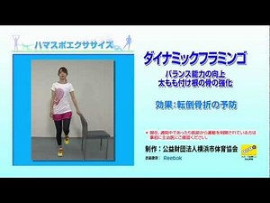 ハマスポエクササイズ ダイナミックフラミンゴ