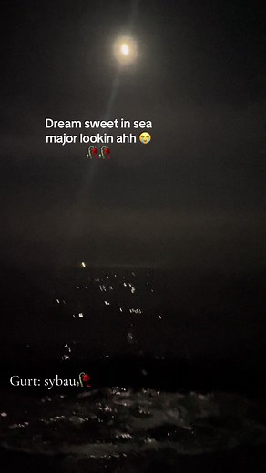 Tally Hall's 'Dream Sweet in Sea Major': A Musical Journey