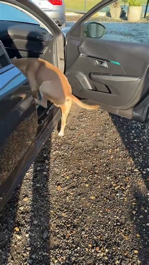 Une grande amitié vient de naître 🤣🤣😭😭 | Mundele