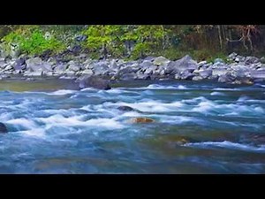 【やすらぎ リラックス 睡眠】癒しの自然音 川の音１５分