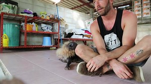 96K views · 2.4K reactions | What is the Illegal Dog Meat Trade? What...