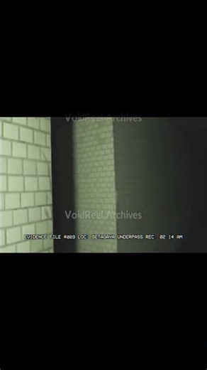 He stopped walking for a reason... FILE #009 🚇 #shorts