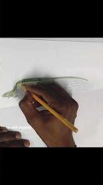 🌽 Easy Corn Drawing with Colour Pencils | Realistic Food Art Tutorial | Step-By-Step Tutorial