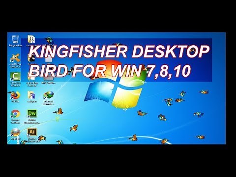 Kingfisher desktop bird exe for win 7,8,10 free download updated version 2018