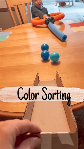 Brittany | Kids/Toddler/Baby Activities on Instagram: "Color sorting challenge! For this activity, I taped colored pieces of paper on each side of the table. Then I taped two pool noodles together. We rolled colored balls down a piece of cardboard and I had my kids use the pool noodles to sort the colored balls and send them towards their corresponding colored papers. Inspired by: @rehashine #kidsactivities #kidsactivity #toddleractivities #playandlearn #letskeepkidsbusy"