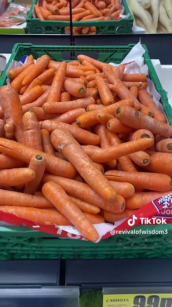 Understanding Alkaline and Acidic Foods for Optimal Health