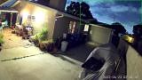 Caught on camera: Meteor lights up San Diego sky
