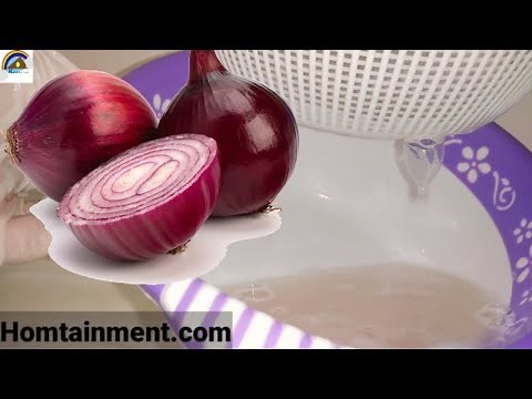 how to make onion juice with blender| Easy onion extraction|Pakistani recipes