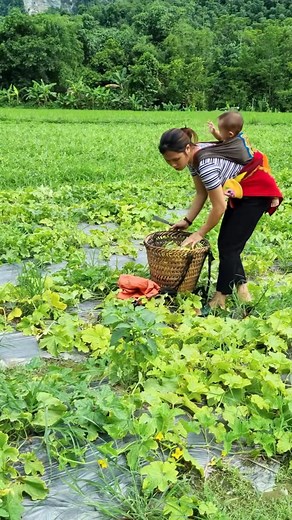 26K views · 414 reactions | Motion Pro Studio on Reels | Facebook