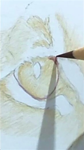 Realistic Lynx Eye in Coloured Pencils | ASMR Drawing | Part 1