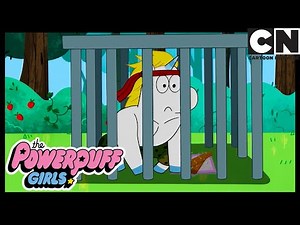Donny VS Man-Boy | Powerpuff Girls | Cartoon Network