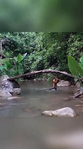 How to build a bridge over a stream - Part 2-2 #bushcraft #camp #camping #survival #shelter #wildlife #outdoors #outdoor #viral #fyp #foryou | Survival Life | Facebook