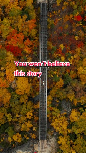 Miraculous College Incident: Girl Survives Train Encounter Unscathed