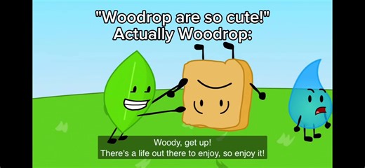 Emotional Moments in BFDI: Woody's Tearful Journey