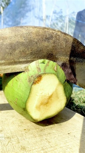 Ever wondered how to get into a green coconut without making a mess? In this video, we show you