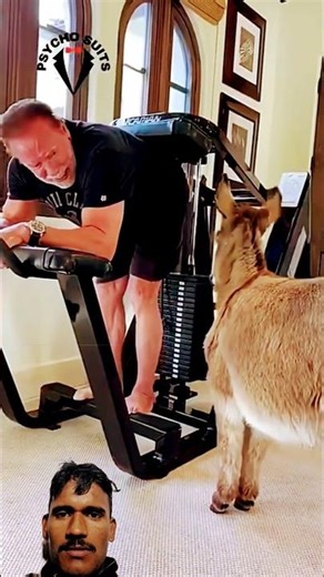 Arnold Schwarzenegger's Extreme Workout #arnoldschwarzenegger