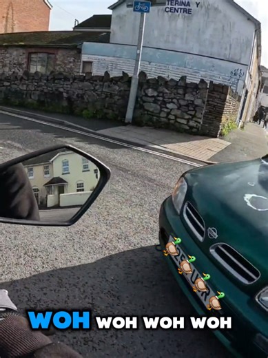 A Close Encounter with Ducks: A Humorous Moment