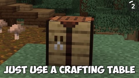 20 Crazy Minecraft Things that Actually Work