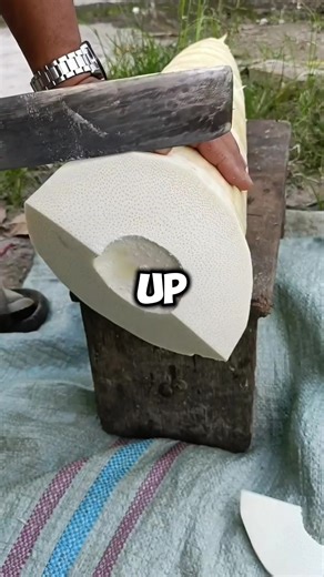 Emergency Protective Order: A Shocking Revelation