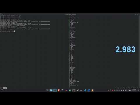 [WR] C segfault speedrun any% in 2.983s