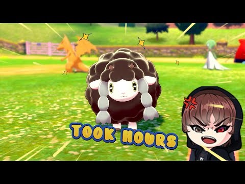 This Shiny Wooloo Took HOURS… (Pokémon Sword & Shield)