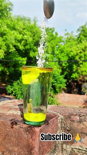 The Physics of Why Salt Rejects Oil #Science #Shorts