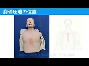 【AHAガイドライン2020準拠】一時救命処置（BLS）の方法を確認しましょう【BLS動画】