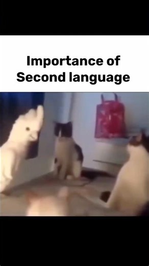 Importance of Second language