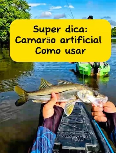 Como trabalhar o Camarão artificial e pegar seu primeiro Robalo! #pescaria #fishing #Robalo #viral
