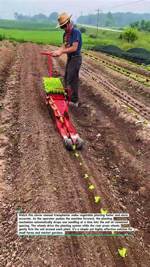 Amazing Manual Transplanter! #Farming #Gardening #Agriculture