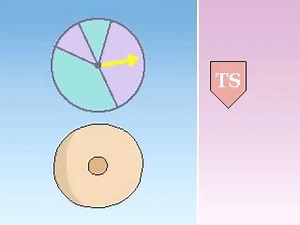 Tumor suppressor and oncogenes