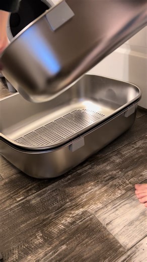 Keep Your Litter Box Clean with a Sifting Litter Box