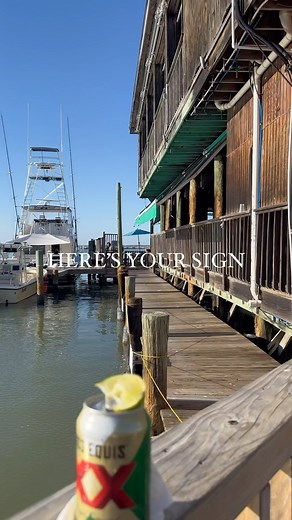 4.3K views · 27 reactions | Share this with your friends you want to go on a camping trip with! This is our 4th year in a row going on a group camping trip to the beach with our friends. We started going for Spring Break and then added a week in the summer. We have the absolute best time together. If you haven’t yet, you need to do this! Have you taken a camping trip with friends? #rvfriends #camping #campingfriends #friendtrip #rvlife #camplife #friends | GillsonWheels | Facebook