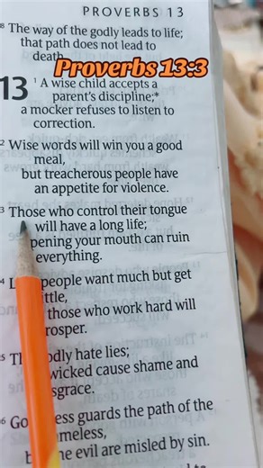 Understanding Proverbs 13:3 in Daily Life
