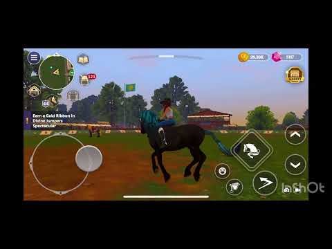 My oldest horse! His stats and more about him! Read description. #starequestrian 
