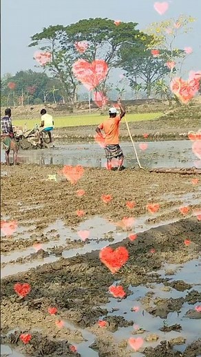 The Hardworking Life of a Bangladeshi Farmer 🌾🚜 | Resilience in the Mud