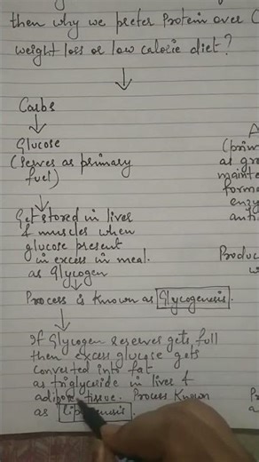 When Lipogenesis starts in Liver & Adipose Tissue ? #youtubeshorts #facts #liver #lipids #viralshort