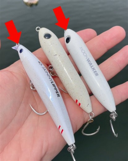 13K views · 1.2K reactions | Attention redfish and speckled trout...