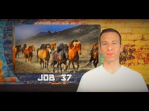 Job Chapter 37 Summary and What God Wants From Us