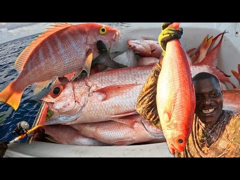 My first deep water fishing trip on the Pedro Bank catching big red snapper great learning