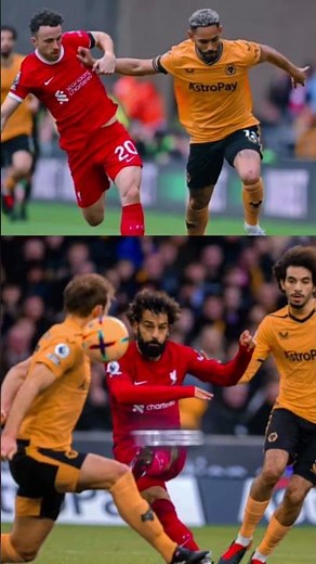 Wolverhampton Wanderers, often simply called Wolves, truly dominated English football in the 1950s