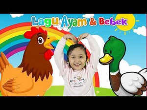 KUMPULAN LAGU AYAM LUCU & BEBEK | LAGU ANAK- ANAK POPULER