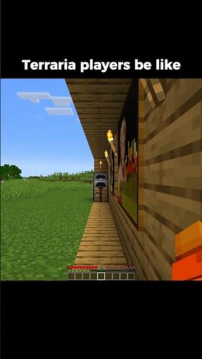 Terraria Players in Minecraft 😂